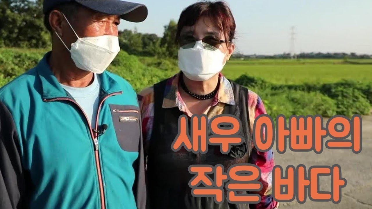 [인생은 행복海!] 새우 아빠의 작은 바다 KBS 20200908 방송