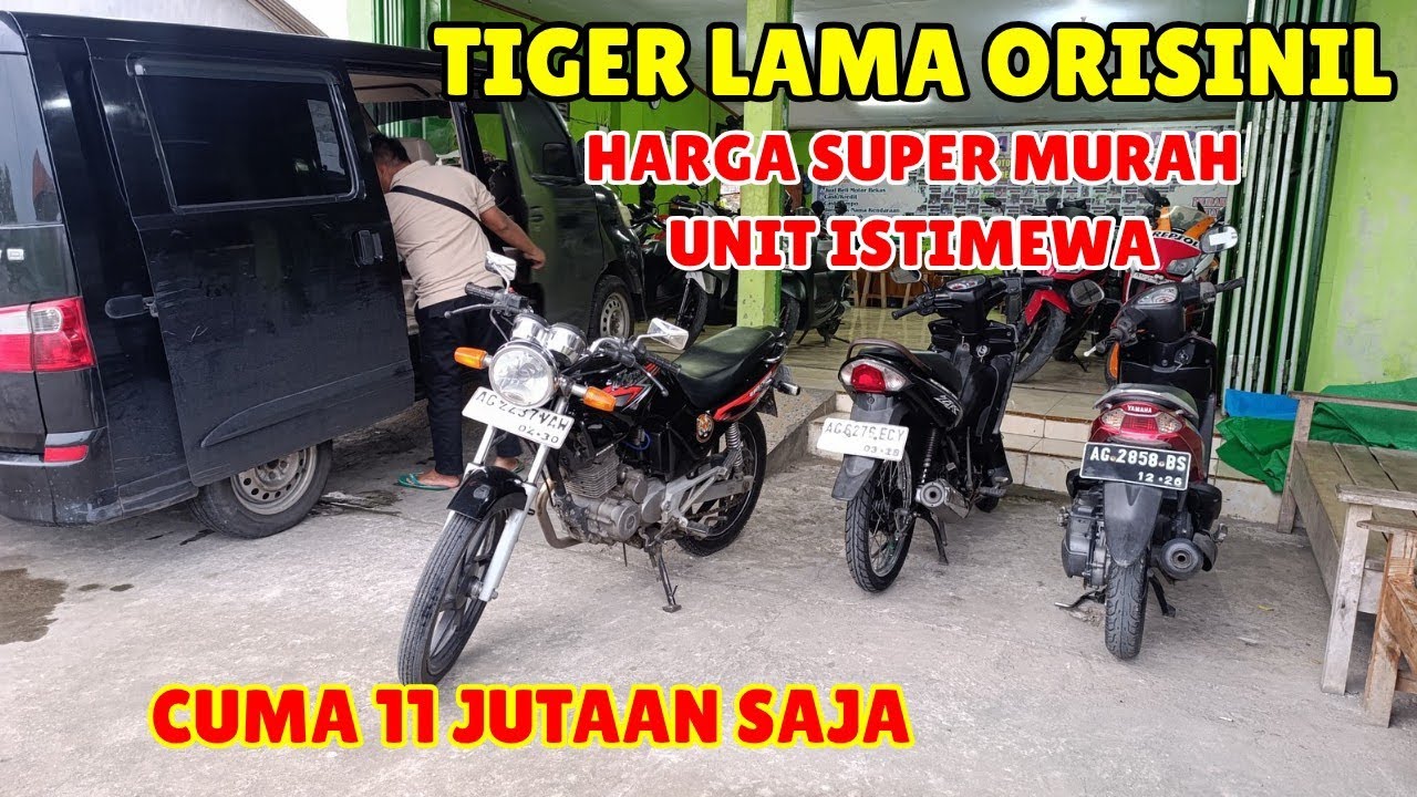 TIGER LAMA ORISINIL SUPER ISTIMEWA CUMA 11 JUTAAN