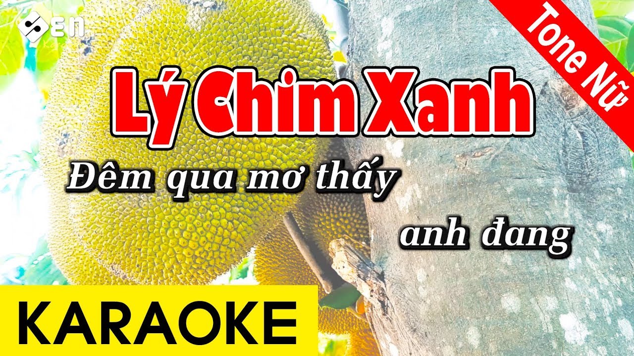 Lý Chim Xanh | Karaoke Beat Chuẩn Tone Nữ