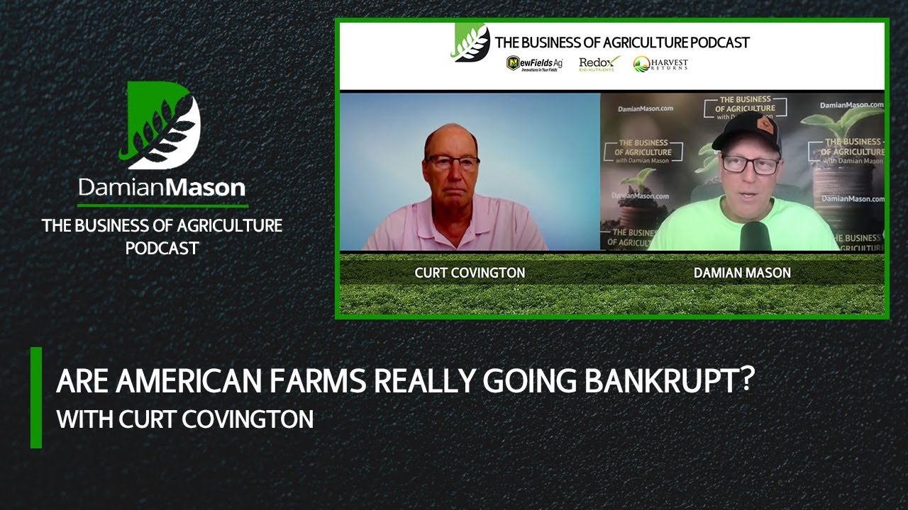 Are American Farms Really Going Bankrupt? | Damian Mason Podcast