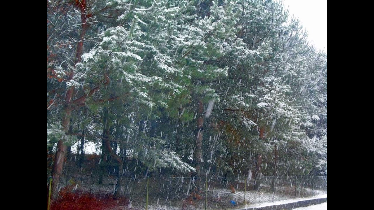 No i przyszła.  21.11.2025 r.