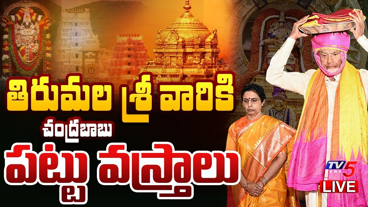 TTD LIVE : CM Chandrababu Offering 