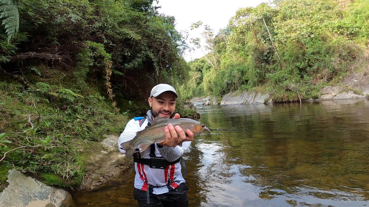 Trucha Arcoíris en Colombia: Una experiencia inolvidable de pesca y conexión con la naturaleza