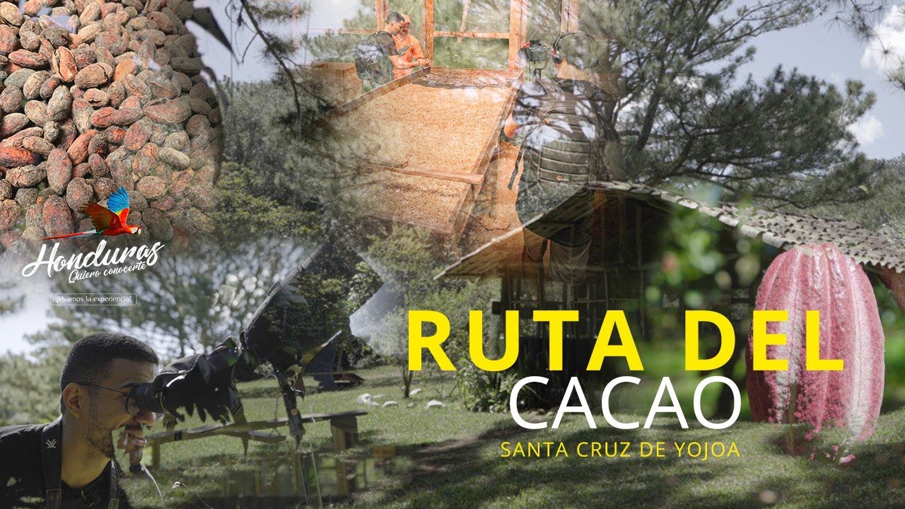 CÓMO SE HACE EL CHOCOLATE ARTESANAL EN HONDURAS