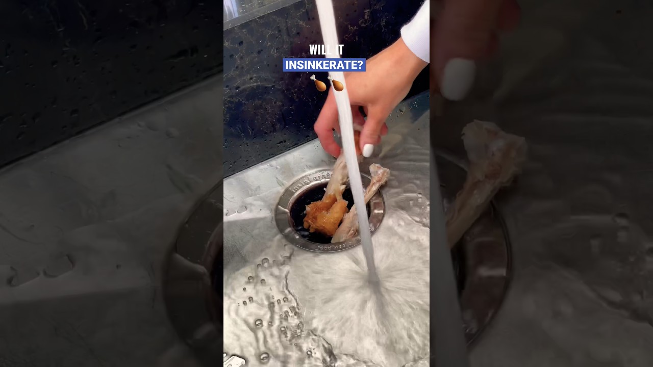 Will it InSinkErate? Episode 1 Chicken Bones🍗 Put our food waste disposal to the test #insinkerator