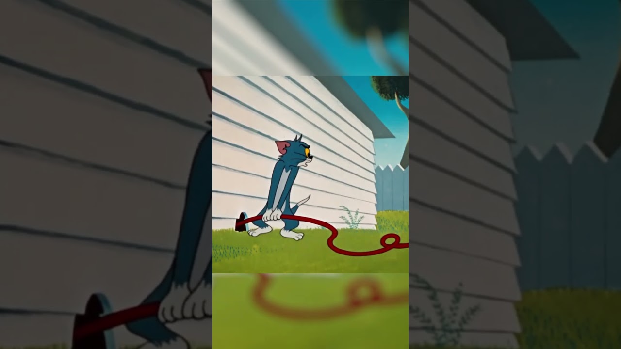 Final exam time  😦 | Tom & Jerry #Shorts - Watch more on Cartoonito | Cartoon Network Africa