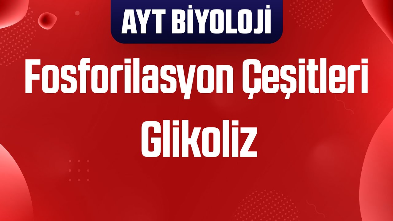 42) Hücresel Solunum : Fosforilasyon Çeşitleri ve Glikoliz