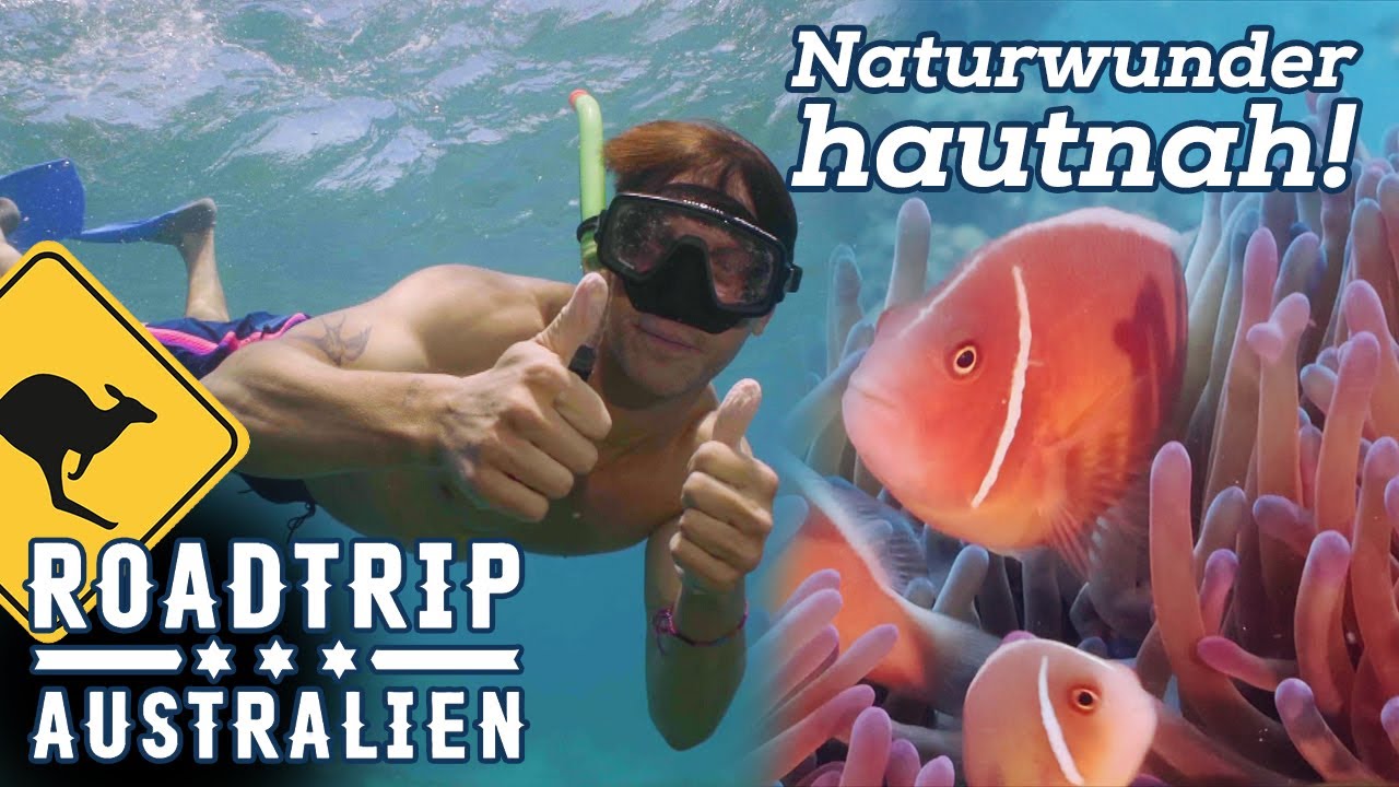 Auf zum Great Barrier Reef - Eine außergewöhnliche Bootsfahrt in eines der GRÖSSTEN Naturwunder!