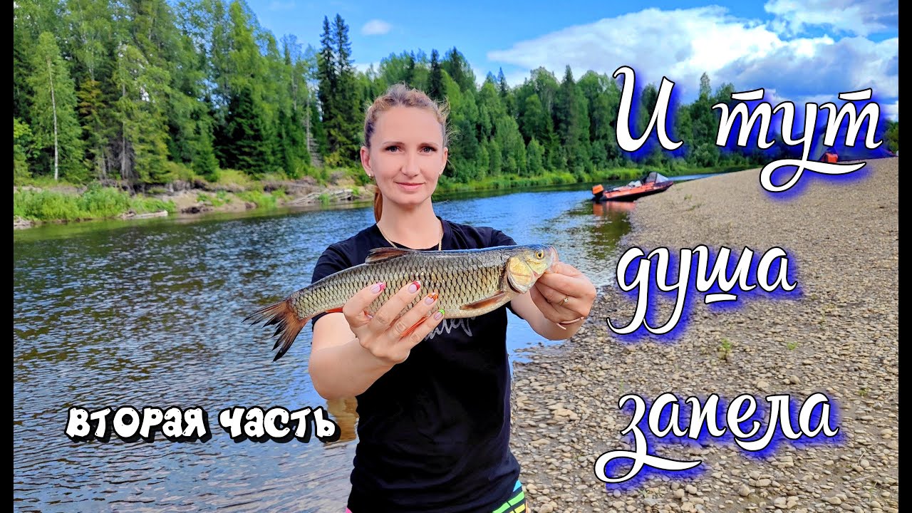 ТАКОГО КЛЕВА МЫ НЕ ОЖИДАЛИ / ТАЙГА / река КОЛВА  Часть 2