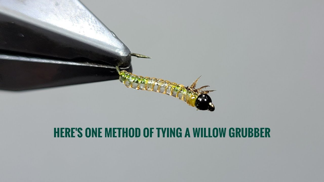 Willow Grub Larva Fly Tying: Nature’s Most Effective Fly?