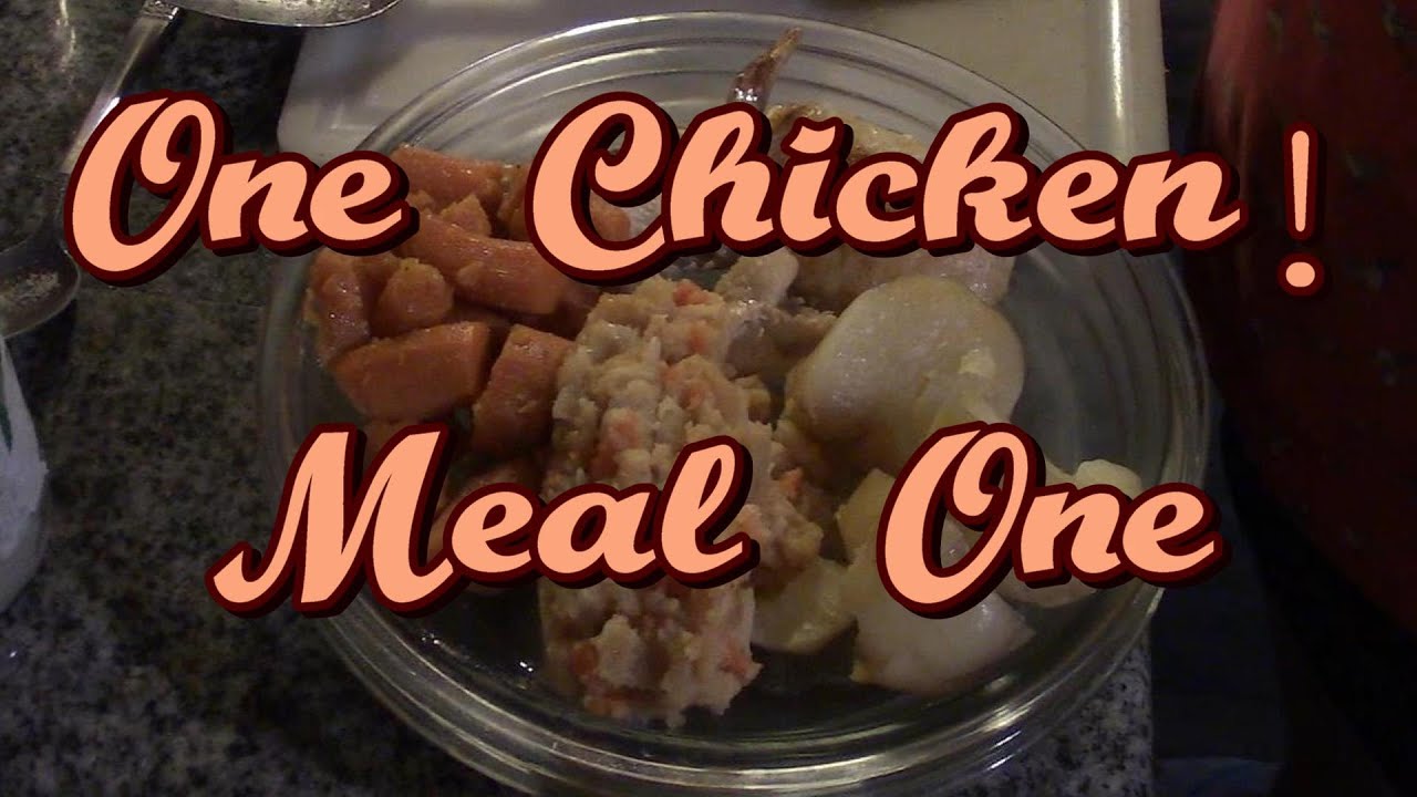 One Chicken! First Meal!