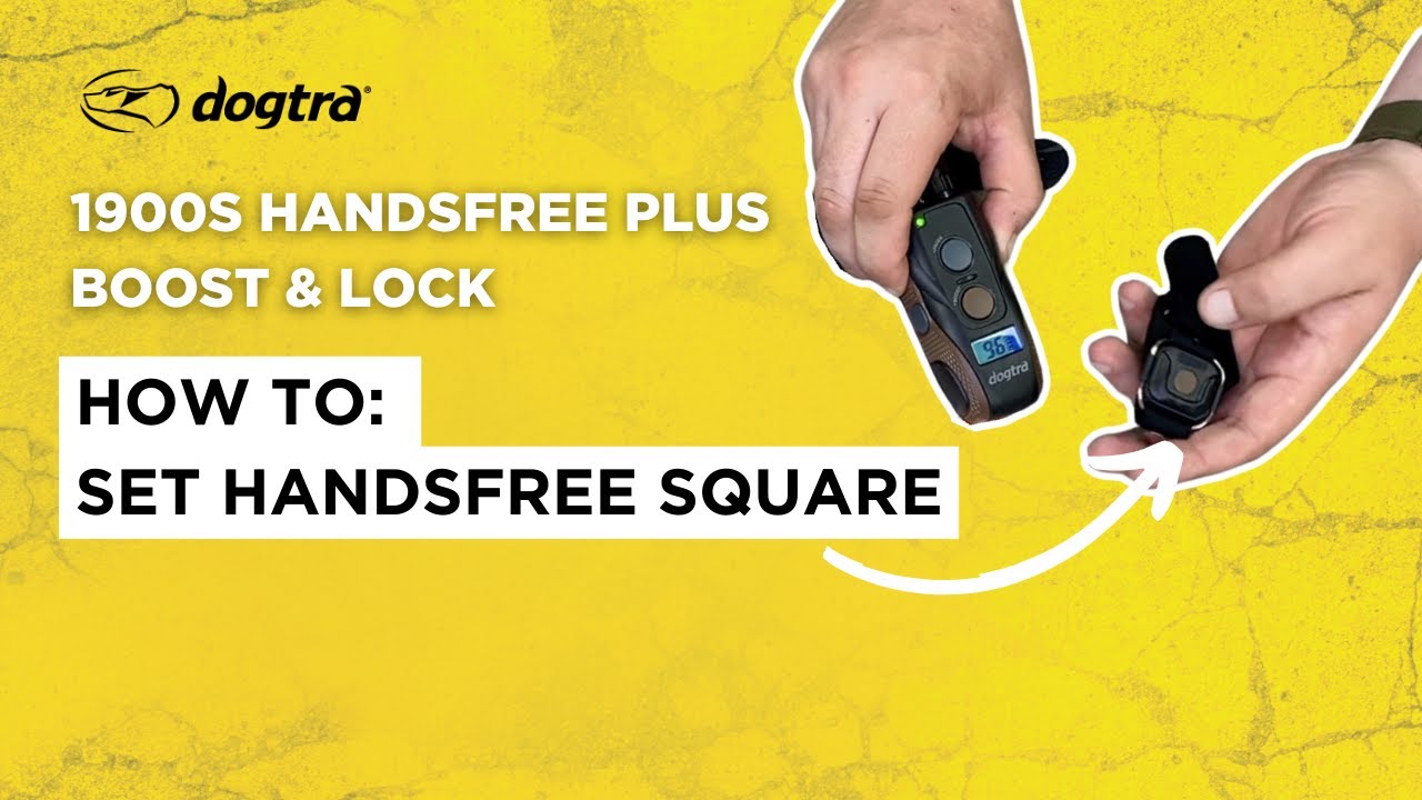 HANDSFREE SQUARE SET UP | Dogtra1900S HANDSFREE PLUS Boost & Lock E-Collar