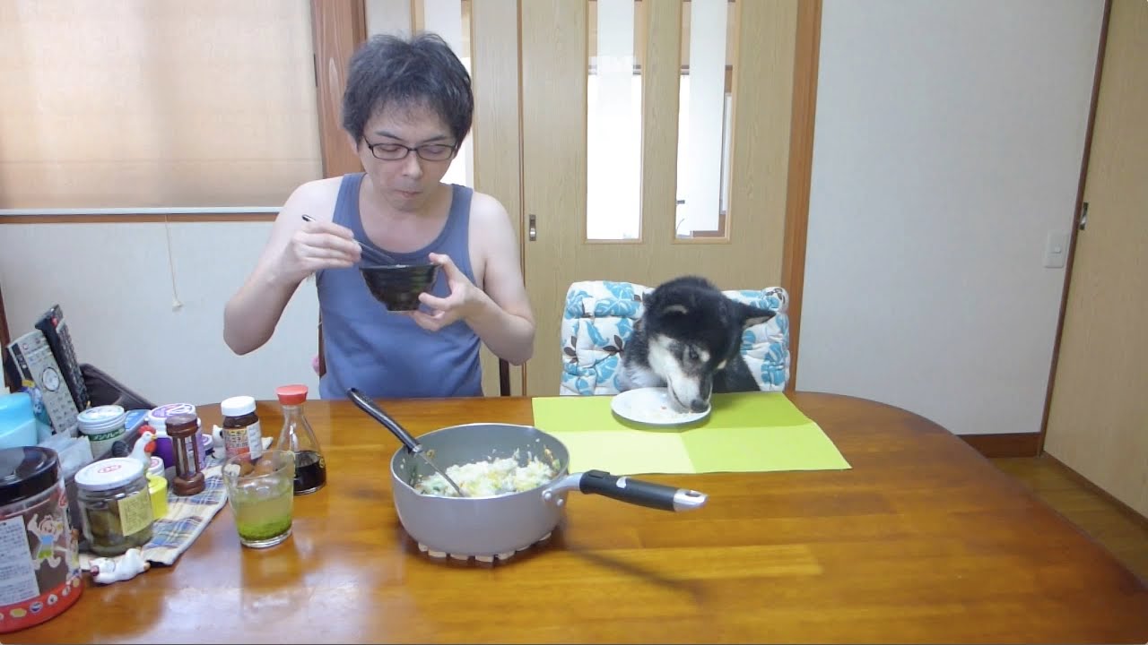 黒柴クロ 犬ごはん 雑炊 Shiba Inu Kuro Eats Rice Soup