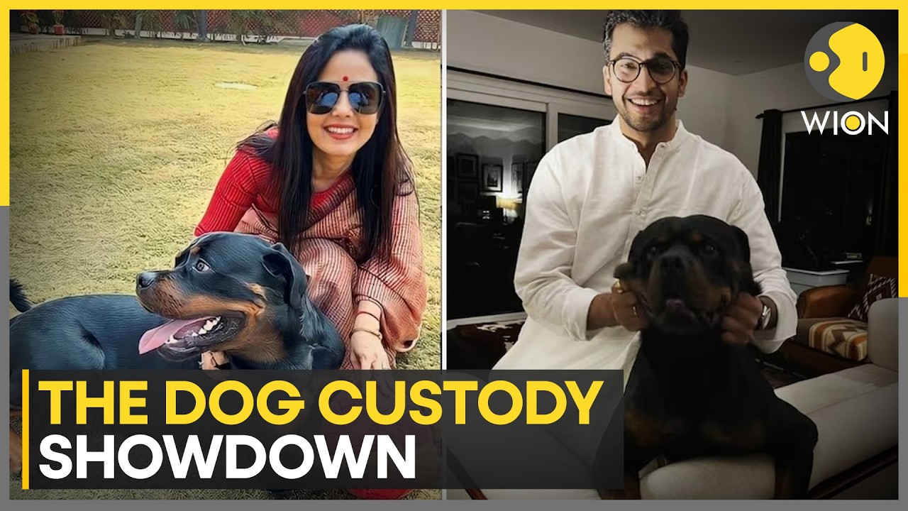 India: TMC MP Mahua Moitra Moves Delhi High Court Seeking Custody of Pet Dog from Ex-Boyfriend