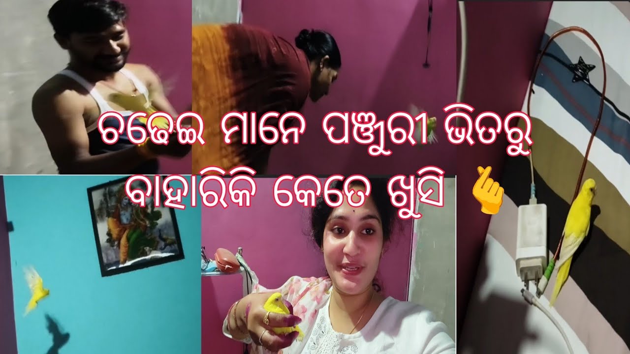 ଚଢେଇ ମାନେ କେତେ ଖୁସି ହେଉଛନ୍ତି 🫰