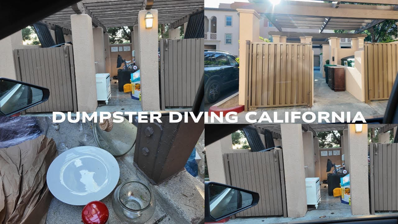 The BEST Dumpster Diving I've Had In A Long Time!