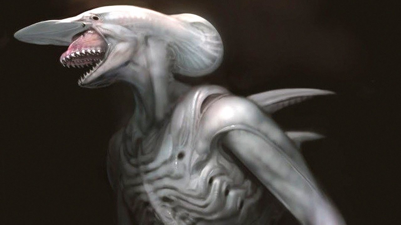 10 More Exotic Xenomorphs