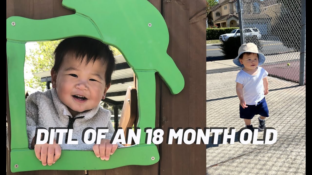 Day in the life of a toddler (18 months)