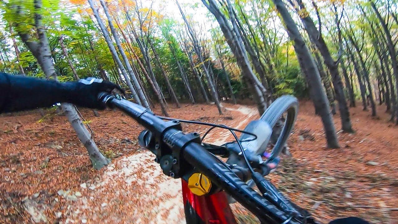 NAJSZYBSZA TRASA W POLSCE l  A-Line Góra Żar PKL Bikeparks  Październik 2018