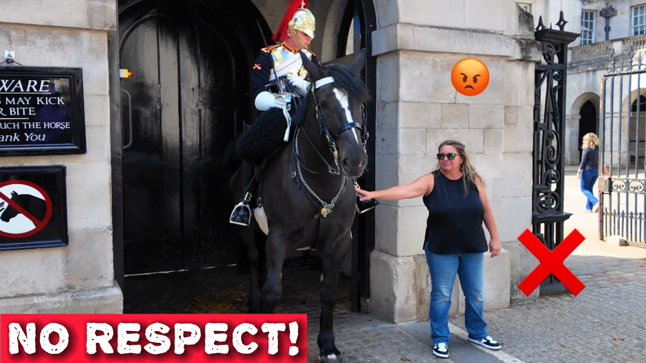 😱TOURIST Pushes Limits: NO RESPECT, NO BOUNDARIES – Touches Horse TWICE‼️