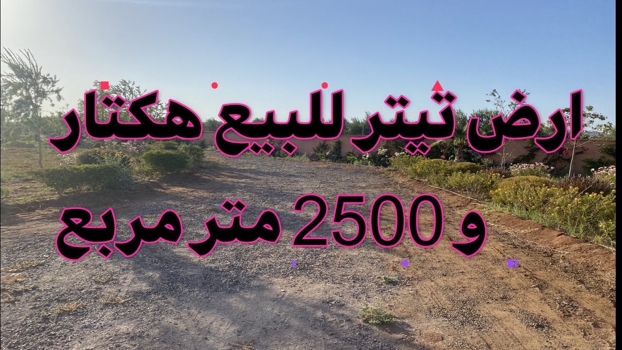 ارض تيتر للبيع هكتار و 2500 متر مربع المنطقة السويهلة .