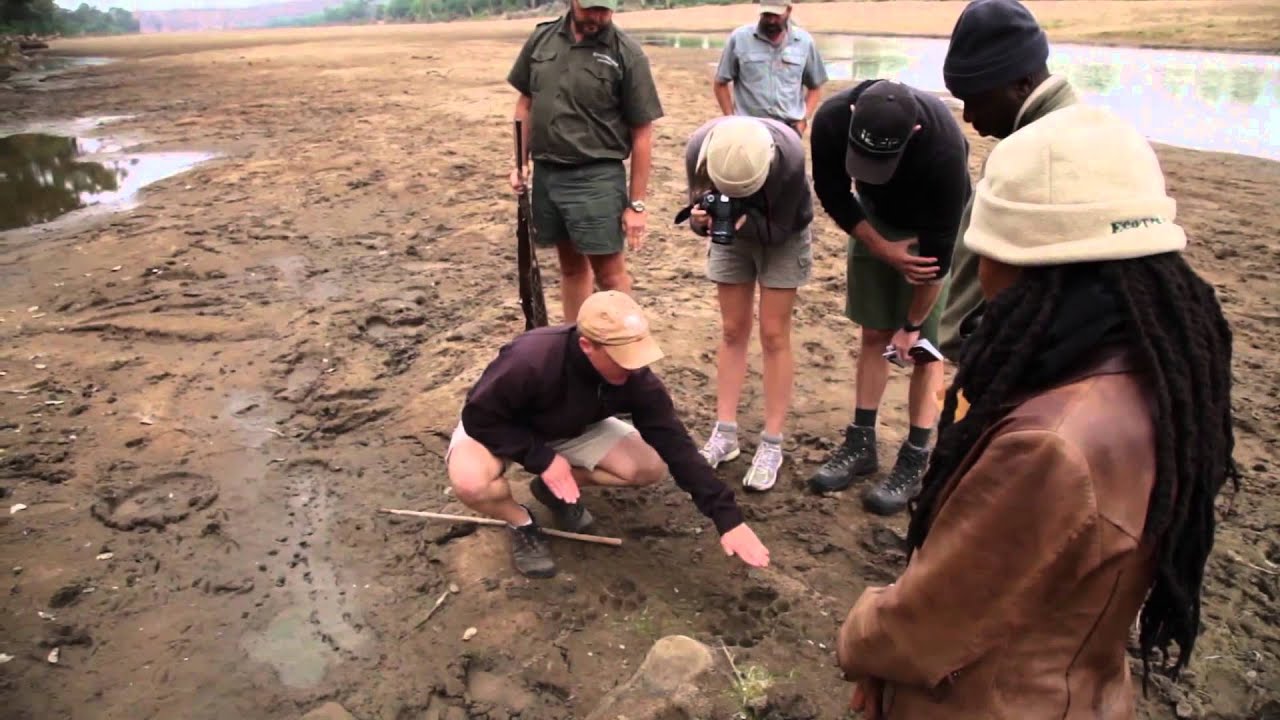 Tracking course - Fascinating Africa