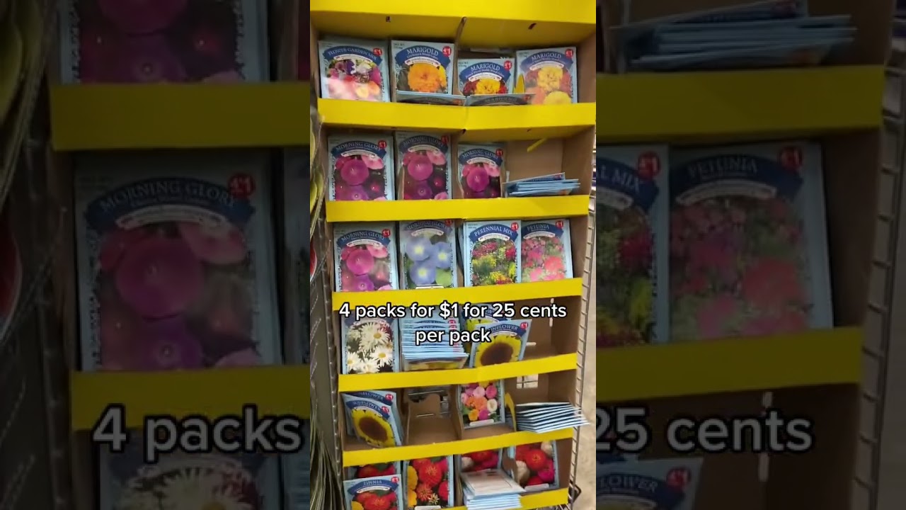 Garden seeds for 25c. 7 things to get at dollar tree in spring 2023