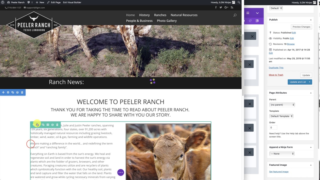 The very basics of Divi's Visual Builder