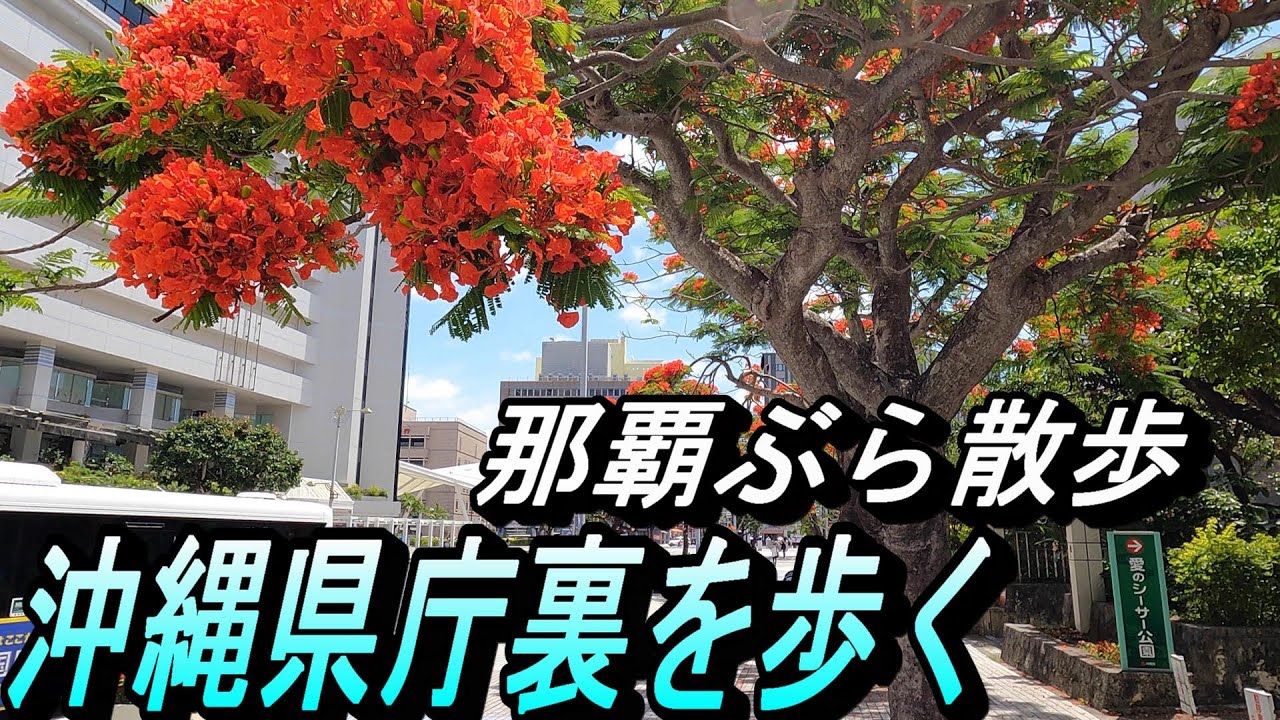 【那覇ぶら散歩】沖縄県庁の裏路地を歩く～記念碑や地域の案内板が多い裏通りのお散歩～