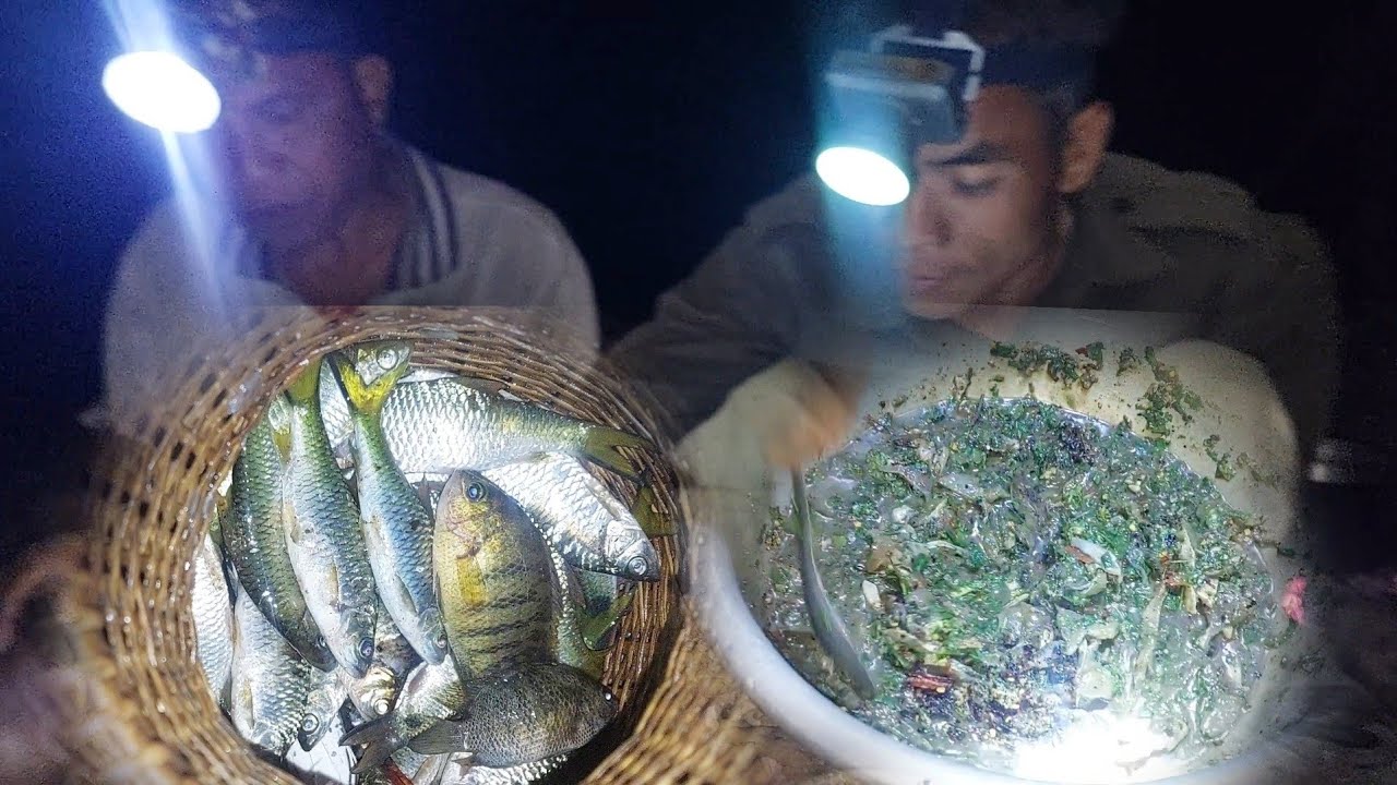 หาปลาน้ำพะนัง