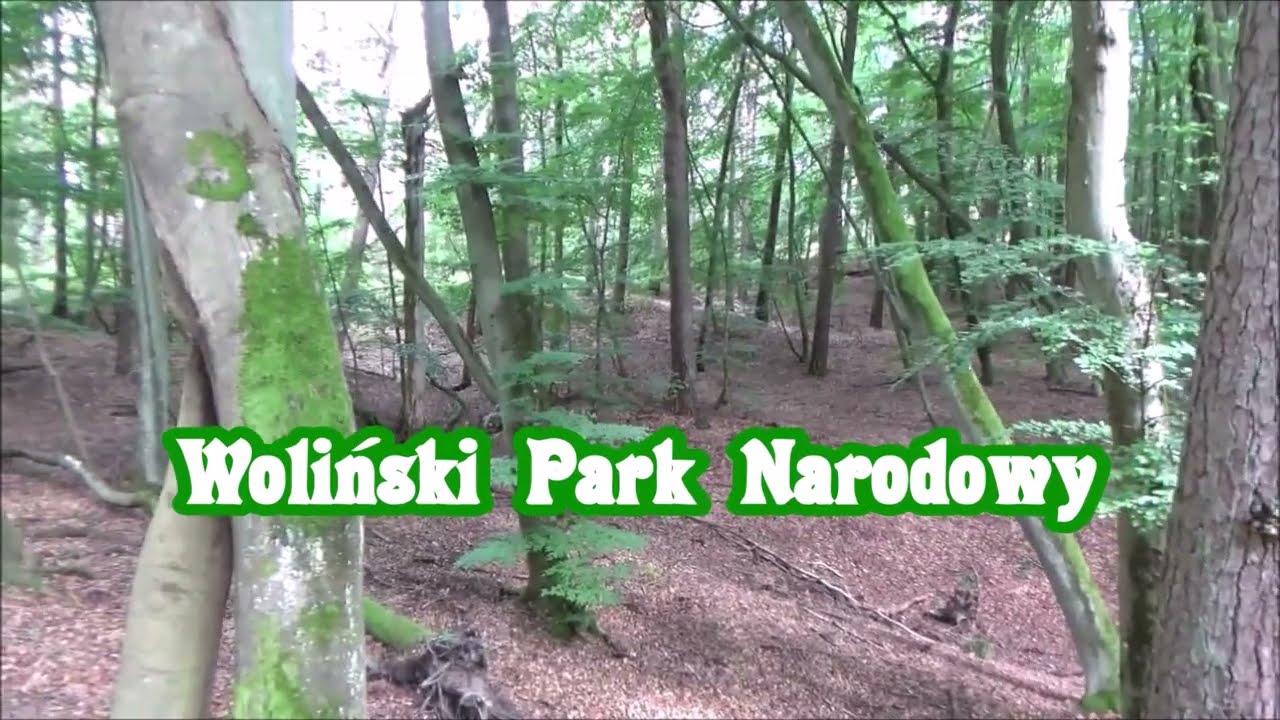 Latarnia Morska Kikut, Wisełka, Dziwnów, Dziwnówek i Łukęcin - Woliński Park Narodowy, Polska