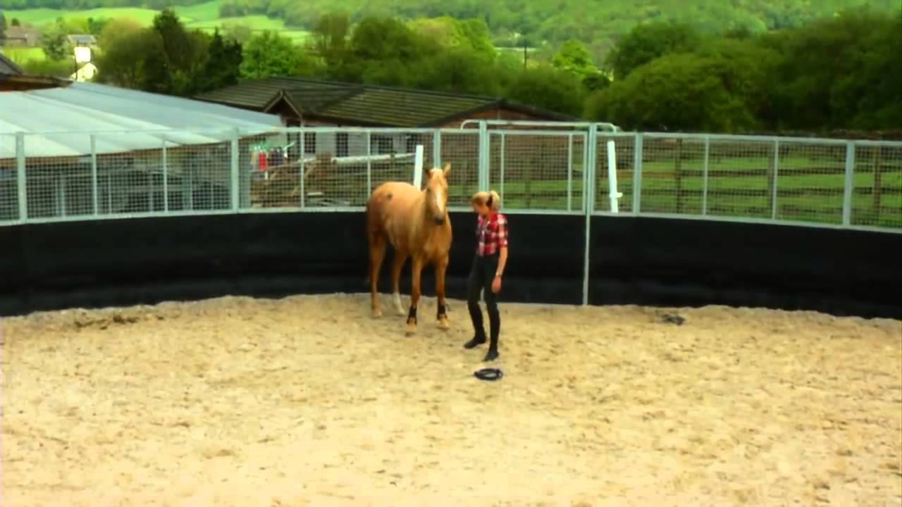 Horse Whispering with Victoria Smith