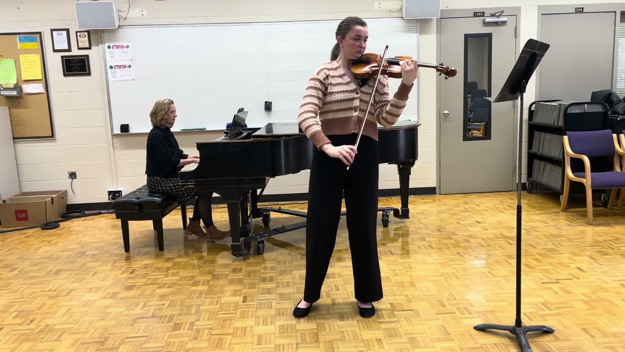 S306 Mozart, Wolfgang Amadeus: Violin Concerto 4 in D Major K. 218 Movement 1, Allegro