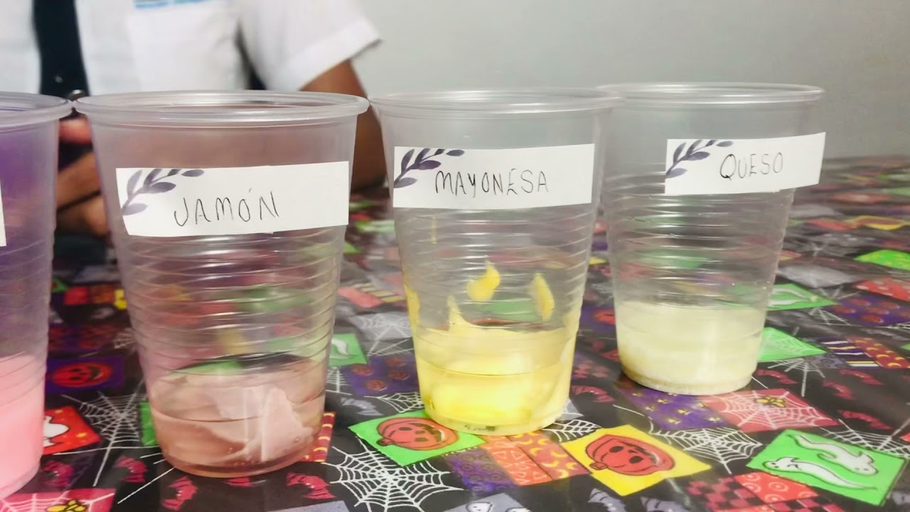 Identificación de lípidos en los alimentos
