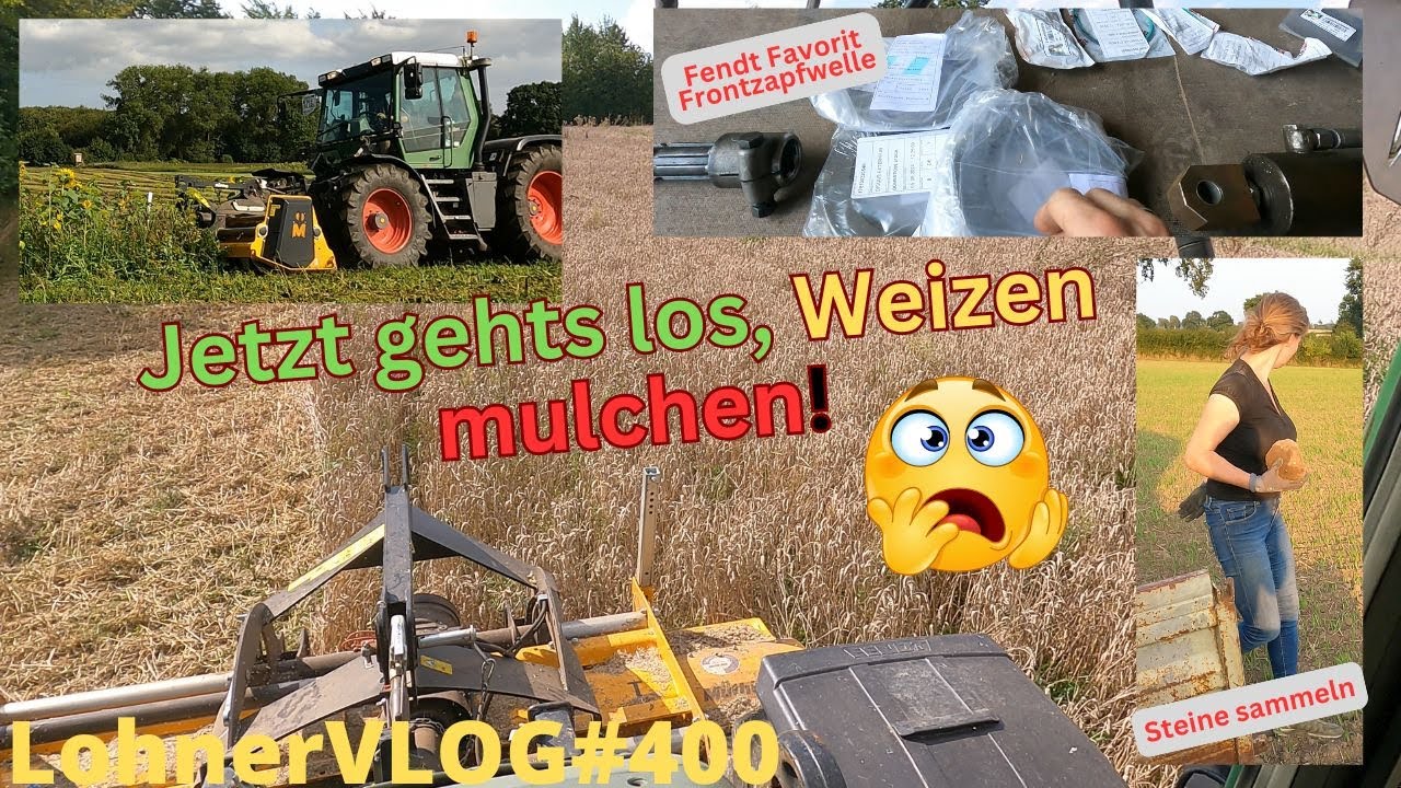 LohnerVLOG#400 Weizen/Blühstreifen mulchen I Fendt Favorit Frontzapfwellefehler I Steine sammeln