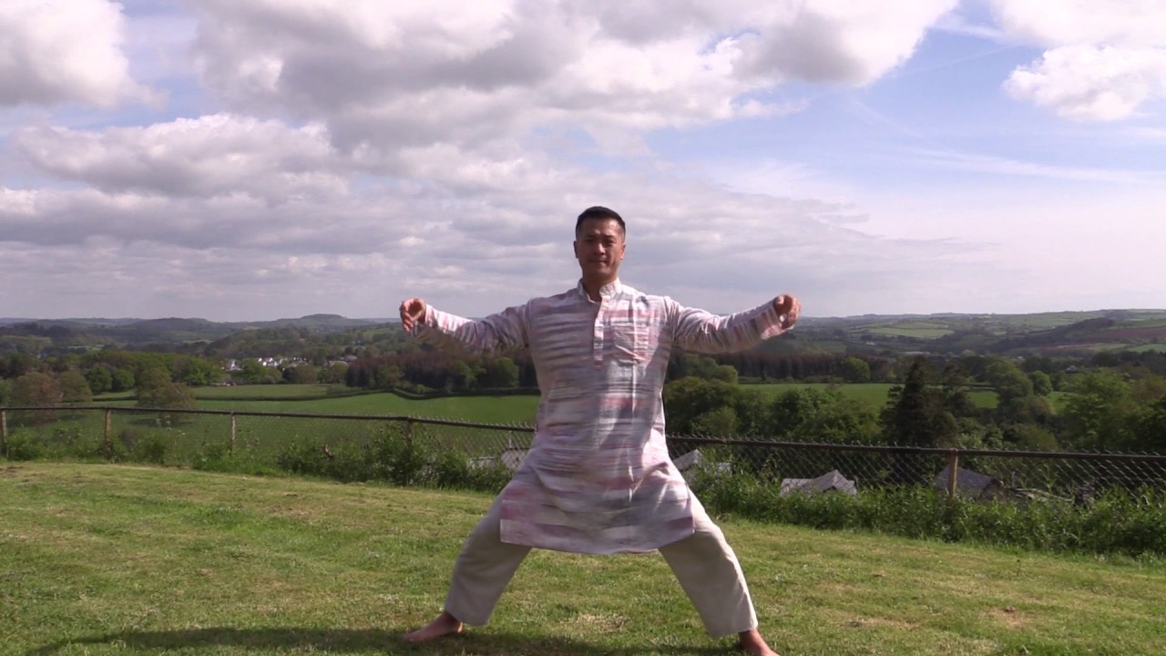 Ly Chi Gung - Qigong - Monkey See, Monkey Do - Tao Chi Kai - pt2