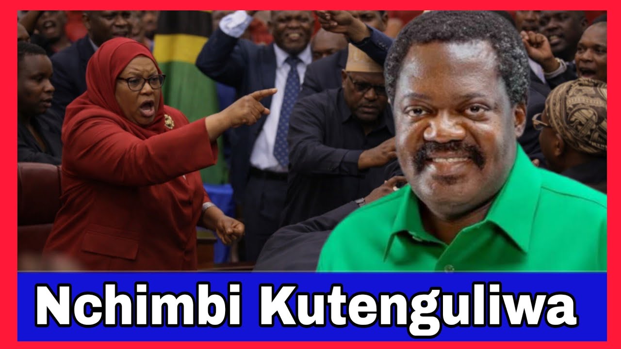 Mswada wa Samia Kumtengua Dr.Nchimbi Makamu wa Rais Tanzania Bungeni intelijensia yatoa taarifa