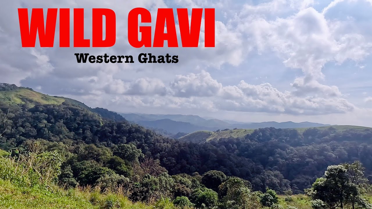 Exploring Gavi, Kerala | Boating, Waterfalls & Wildlife 