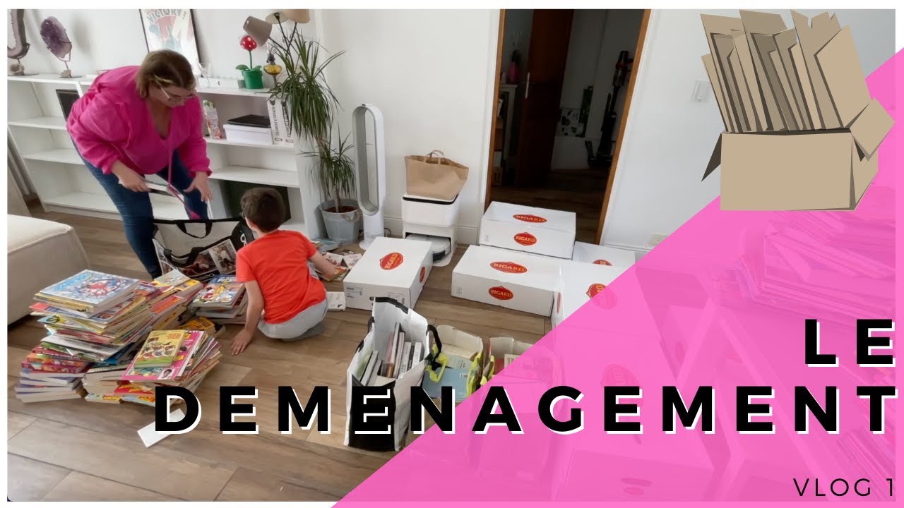 ORGANISATION DEMENAGEMENT / MES ASTUCES / VLOG 1