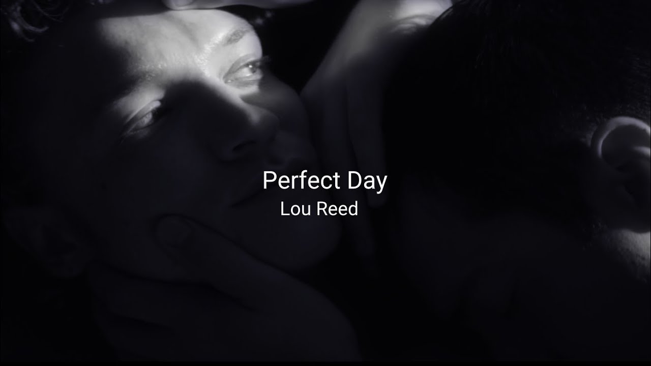 Heated Rivalry edit || Perfect Day