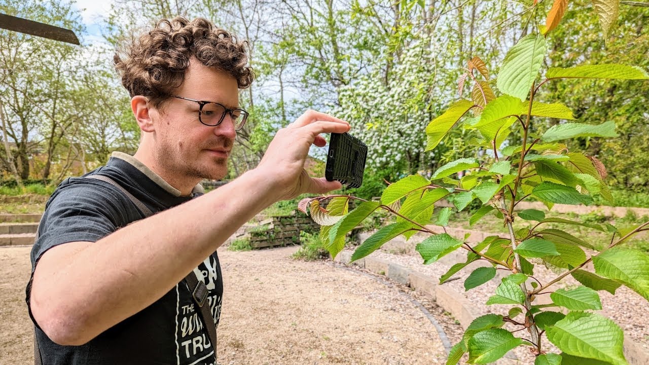 A Guide to Using iNaturalist for the City Nature Challenge