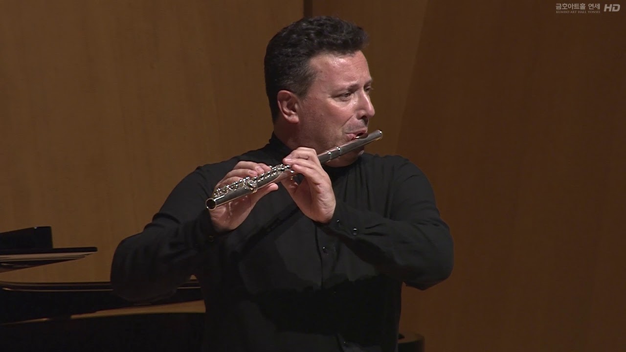 Dejan Gavric - P. Taffanel Fantasie sur 