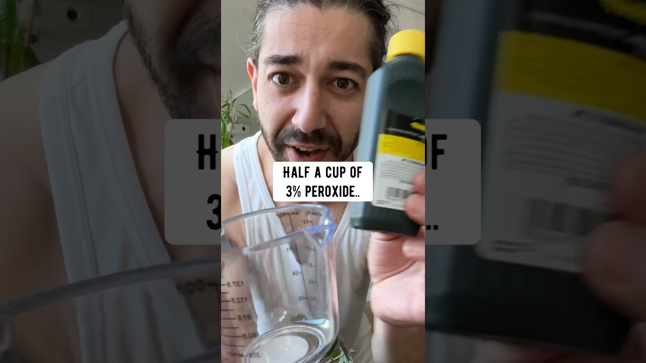 DIY Magic Plant Boost Mixture | creative explained