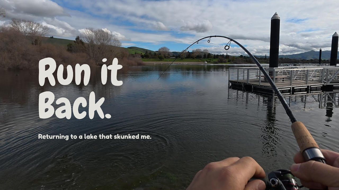 Same Lake, New Approach | Quarry Lakes, Fremont CA