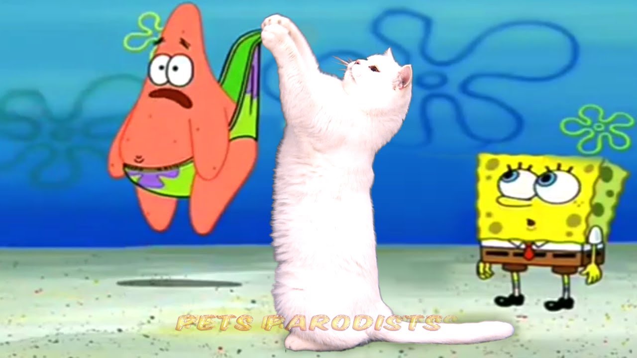 Beating Up Patrick