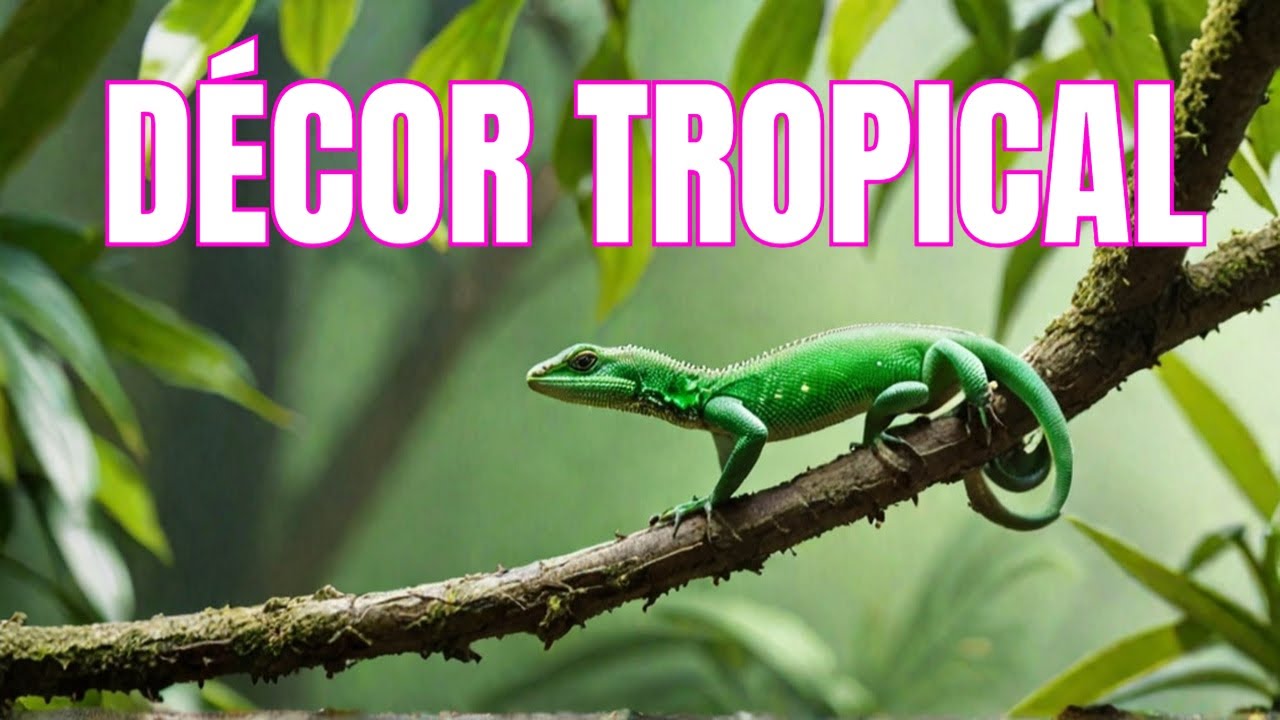 Terrarium Naturel pour Mes Geckos à Crêtes Heureux