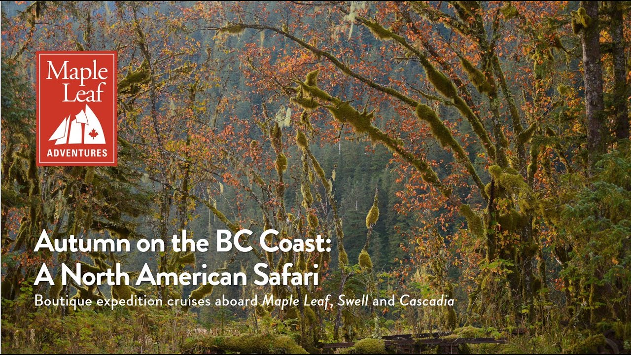 Fall for the Wild Expedition Webinar 2025