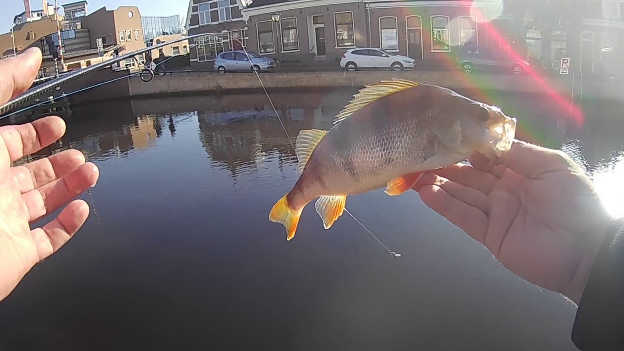 Streetfishing in Friesland