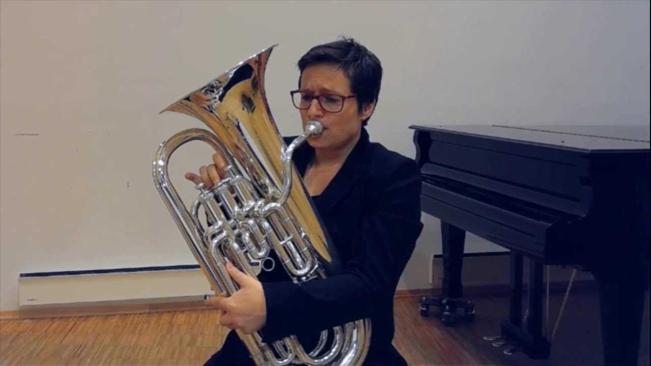 Solioquies for solo euphonium by John Stevens