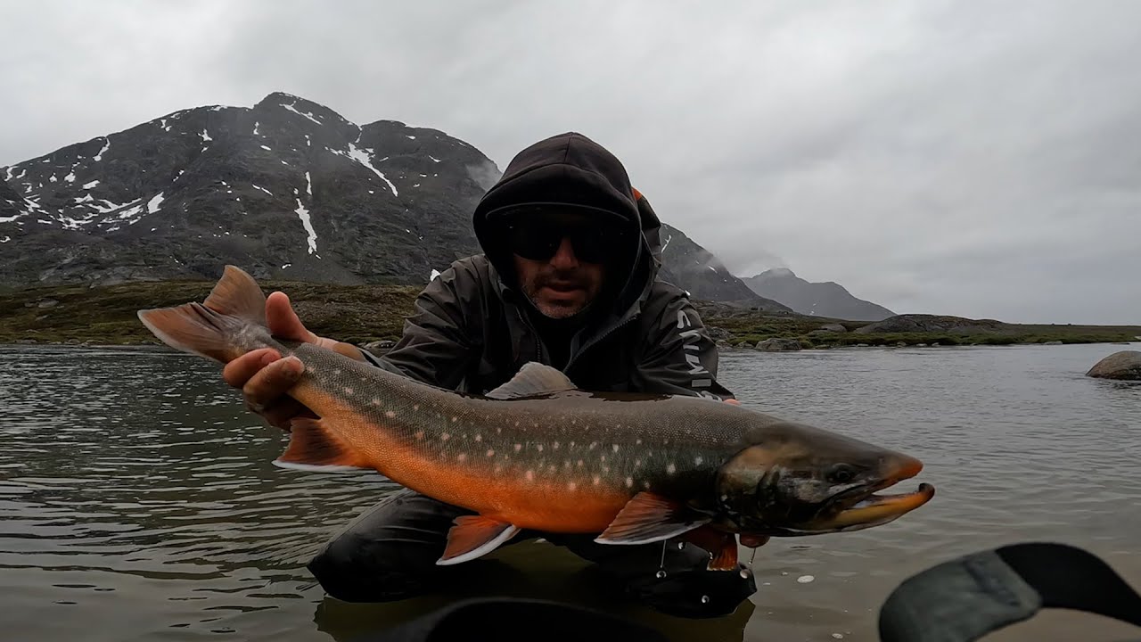 Fliegenfischen auf Arktische Saiblinge in Grönland